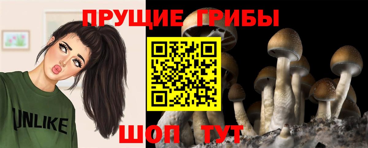 Псилоцибиновые грибы MAGIC MUSHROOMS Электросталь